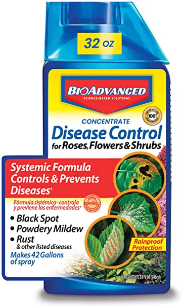 Bayer Advanced 701250 Disease Control for Rose, Flower and Shrubs Concentrate, 32-Ounce