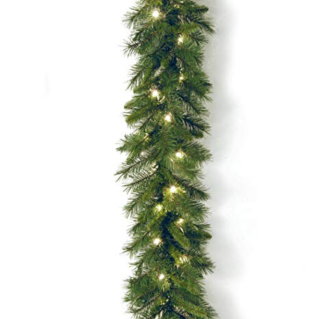 National Tree 9 Foot by 10 Inch Winchester Pine Garland with 50 Clear Lights (WCH7-300-9A-1)