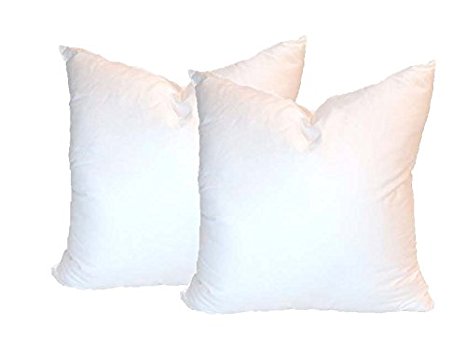 Pillowflex Set of 2 Synthetic Down Alternative Pillow Inserts for Shams (22 Inch by 22 Inch)