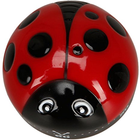 TOOGOO(R) Plastic Ladybug Ladybird Beetle Shape 60 Minute Kitchen Cook Cooking Timer  Free Cable Tie