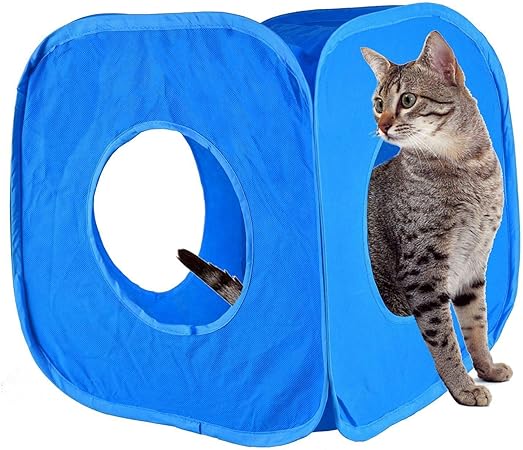 Pet Living Pop Up Cat Kitten Play Cube Fun Strong Box For Cat Rabbit Toy (Blue)