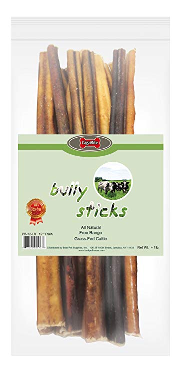 GigaBite 12 Inch Odor-Free Bully Sticks (1-Pound) – USDA & FDA Certified All Natural, Free Range Beef Pizzle Dog Treat – By Best Pet Supplies