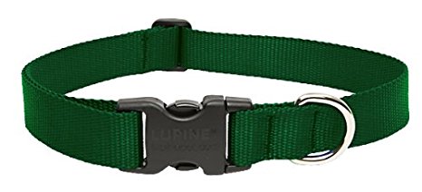 LupinePet 1 Inch Adjustable Dog Collar for Medium to Large Dogs