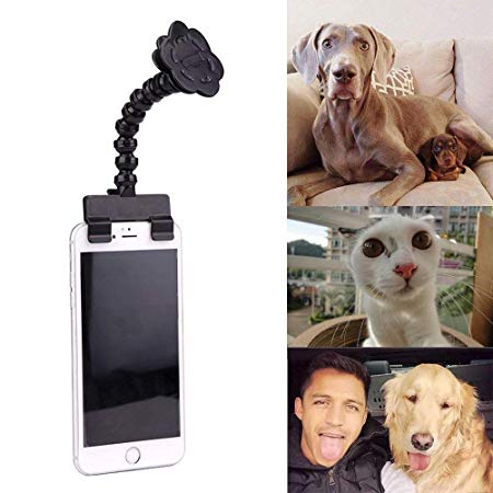 Best Pet Selfie Stick, Pet Camera Dog Cat Take Photos Training Toy Pet Photo Booth
