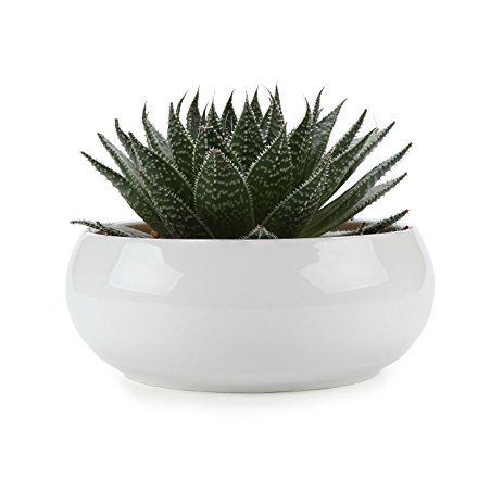 T4U 6.5 Inch Ceramic White Round Simple Design succulent Plant Pot/Cactus Plant Pot Flower Pot/Container/Planter