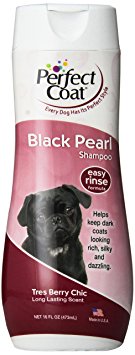 Perfect Coat Black Pearl Dog Shampoo, 16-Ounce (I640)