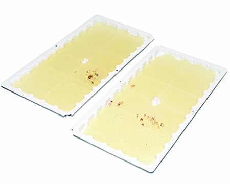 JT Eaton EjzdFa 111-00PRE6 Stick-Em Pre-Baited Rat/Mouse Size Peanut Butter Scented Double Glue Trap Tray, 10 in Length x 5 in Width x 3/4 in Height, White, 6 Count (2 Units)
