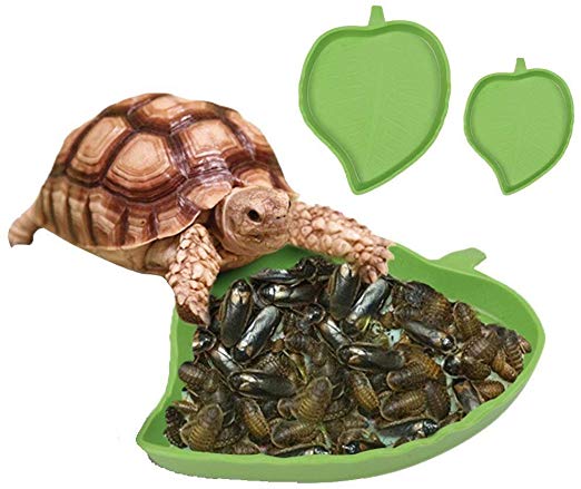 STTQYB 2 Pack Leaf Reptile Food and Water Bowl for Pet Aquarium Ornament Terrarium Dish Plate Lizards Tortoises or Small Reptiles