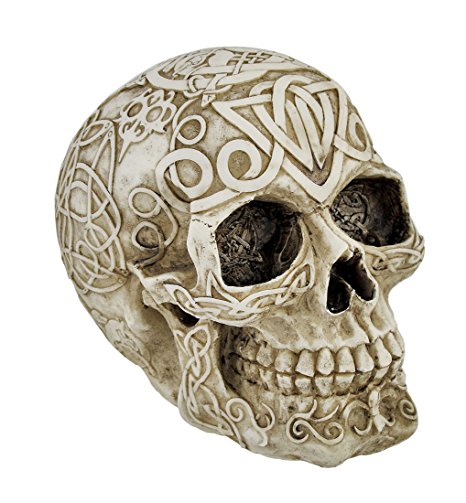 Celtic Owl Knotwork Human Skull Statue Pagan by Private Label