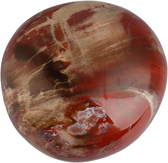 SUNYIK Petrified Wood Palm Stones Worry Pocket Stone, Polished Irregular Shaped Sphere Decortarion 1.5"-2.5"