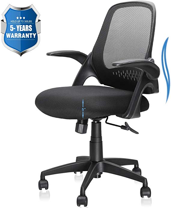 Office Chair, Computer Desk Chair with Ergonomic Back Support and Thick Cushion, Mid Back Task Chairs with Flip-up Arms, Hold up to 300LBS, 5-Years Warranty (Mid-Back, Black)