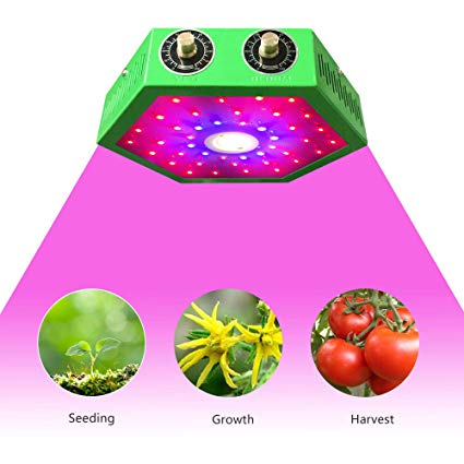 1000W COB LED Grow Light- Adjustable Full Spectrum for Indoor Plants- Grow Light Bulb-Veg and Bloom/Flower Light for Grow Tents/Greenhouse Basement Planting(Double-chip 10W LEDs) (1000W)