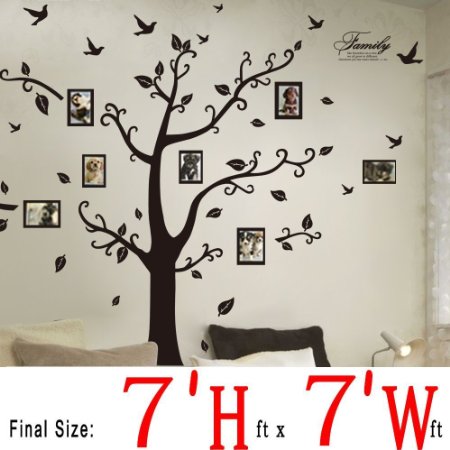 DaGou, Huge 7' Ft(h) X 7' Ft(w) Wall Decals, Memory Tree and Birds, Wall Stickers, Murals