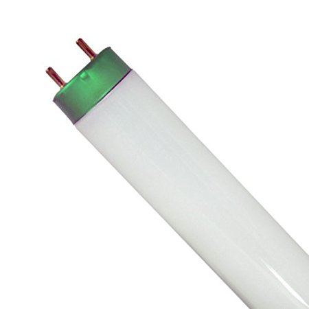 TCP 31017850 - F17T8/850 - 2 ft. - 17 Watt Fluorescent Tube - T8 - 5000K - 800 Series Phosphors