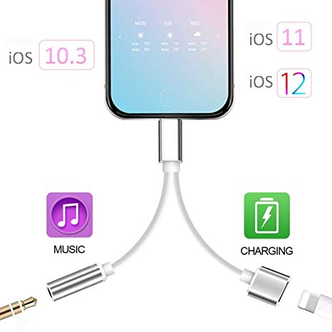 2 in 1 iPhone 7 Adapter Compatible with iPhone 7/7 Plus/8/X/8 Plus, XR, XS, XS MAX (Support iOS 10.3/iOS 11/IOS12), Adapter and Charger, 3.5mm Aux Headphone Headphone Jack Audio Adapter (Silver)