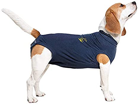 MPS Medical Pet Shirt Dog, Surgery Recovery Suit, Blue, Small