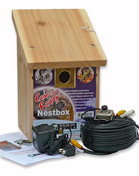 Cedar Bird Nest Box & Bird Nest Box Colour Camera with Audio