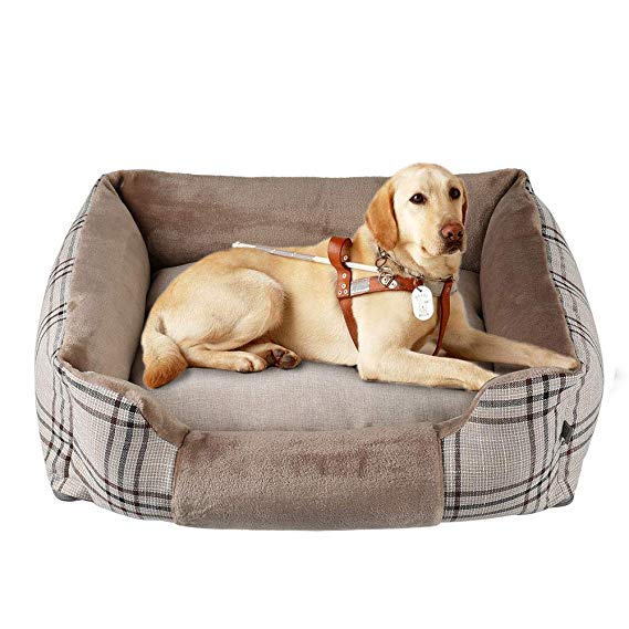 JoicyCo Dog Bed Orthopedic Cushion Sofa Bed for Dogs and Cats Pillow Washable with Removable Cover,Anti-Slip Bottom