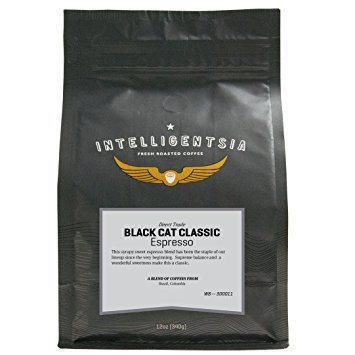 Black Cat Classic Espresso-12 oz