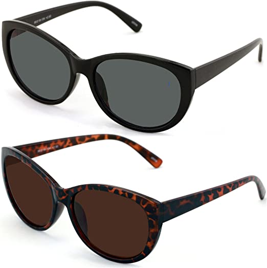 2 Pairs Women Outdoor Reading Sunglasses Oversized Full Lens Readers Leopard