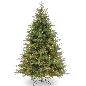 National Tree (PEFG3-308-75) "Feel-Real" Frasier Grande Hinged Tree with 1000 Clear Lights, 7-1/2-Feet