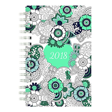 Blueline 2018 DoodlePlanTM Coloring Weekly/Monthly Planner, Botanica Designs, 8 x 5 inches (C2910.01-18)