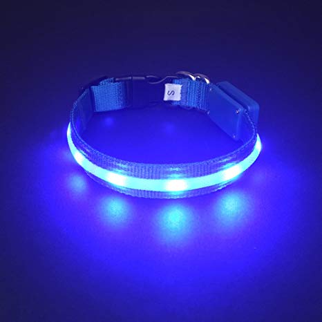 HOLDALL Led Dog Collar USB Rechargeable Light Up Collar Make Dogs Visible in Dark and Safe from Danger at Night 3 Sizes (21 to 68cm).