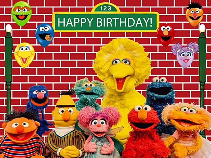 Sesame Street Backdrop | Brick Wall Background | 1st Birthday | Party Supplies | Banner | Girl | Boy | Photography