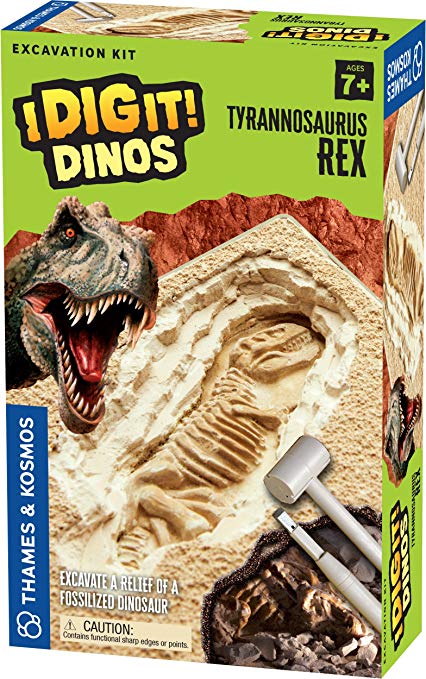 Thames & Kosmos I Dig It! Dinos T. Rex Excavation Kit Science Experiment Kit