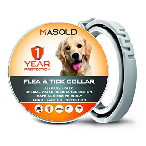 MASOLD Flea Collar for Dogs and Cats - 12 Months Protection Flea Tick Collar - Adjustable, Safe and Waterproof Cat Flea Control Collar - All Natural and Anti-Allergy Flea Collar