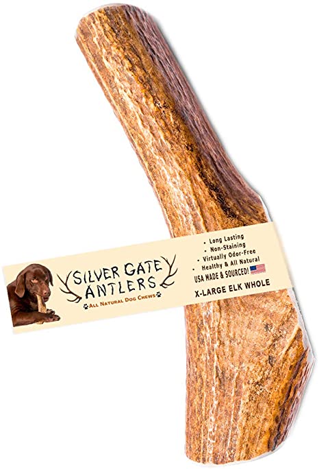 Silver Gate Antlers Elk Antlers for Dogs - X Large (XL) 7 to 8 Inch Antler Dog Chew, Whole - USA Made All Natural Elk Dog Chews - Long Lasting Durable Chew Toys for Aggressive Chewers