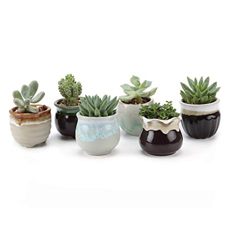 T4U 6.5CM Ceramic Flowing glaze Black&White Base Serial Set Succulent Plant Pot/Cactus Plant Pot Flower Pot/Container/Planter Package 1 Pack of 6