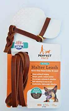 Perfect Pace Leather Halter Leash