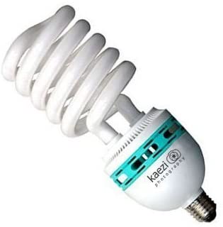KAEZI 85 Watt Studio Light Bulb 5500K CFL Day Light.