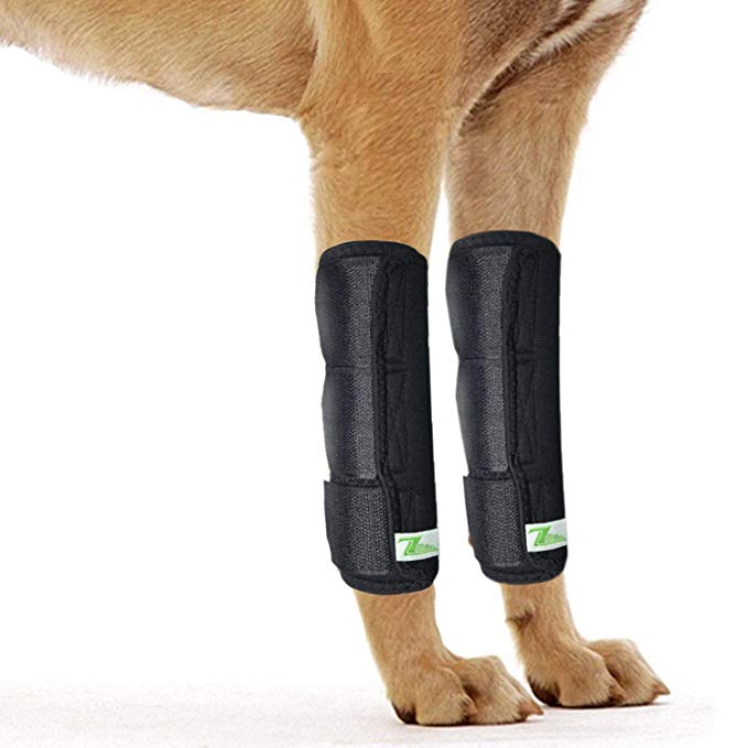 Rear Dog Leg Brace One Pair Heals Hock Joint Wrap Sleeve for Hind Legs