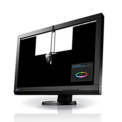 EIZO ColorEdge CX241 24.1" LCD Monitor 1920x1200   EX Sensor Bundle (CX241-BK-CNX)