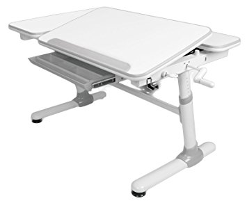 Reo-Smart "Jayden V2 " Ergonomic Crank Adjustable Tilting Desk and Bookshelf Set-Gray