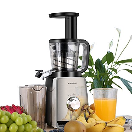 Excelvan 1000W Professional Slow Juicer for Max Nutrient Fruit Vegetable Juice Extractor with Dual Spouts and Two Containers