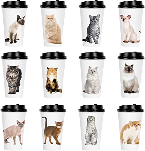 Youngever 72 Sets Disposable Coffee Cups with Lids, To Go Hot Coffee Cups, Durable Paper Cups with Lids, Cat Kitten Theme Design