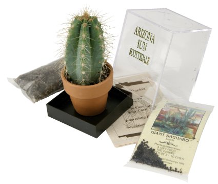 Grow your own Saguaro Cactus Kit - Incubator - Cactus Seeds - Southwest Arizona Southwestern Gift Idea - Seed Propagation - Desert Souvenir