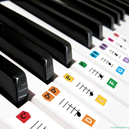 Best Reusable Large Color Piano Key Note Keyboard Stickers for Adults & Children’s, FREE E-BOOK, Great for Beginners Sheet Music Book, Teacher Recommended to Learn to Play Keys & Notes Faster