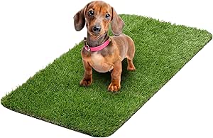 Ottomanson Pet Training Collection Easy Clean Indoor/Outdoor Reusable Training Grass Pad, 15" x 30", Green