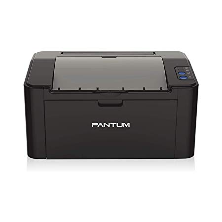 Pantum Monochrome Laser Printer with Wireless Networking and Mobile Printing P2502W