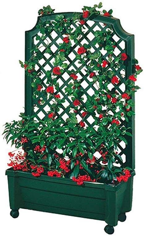 Exaco Trading Co. 1.416Green Calypso Planter with Trellis and Self Watering System, Green