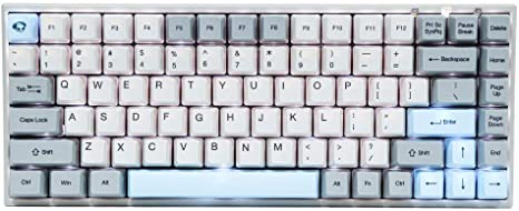 EPOMKER AKKO 3084 Silent 84 Keys Bluetooth 5.0 Mechanical Keyboard TKL with PBT OEM Keycaps, Type-C Port, 1800mAh Built-in Battery for Win/Mac/Gaming (Gateron Pink Switch, 3084)