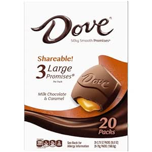 DOVE Large PROMISES Milk Chocolate Caramel Candy, 20 2.75oz Packs per Carton