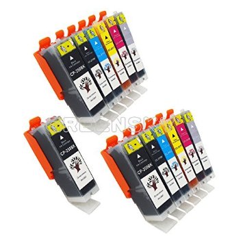 GREENSKY 13 Packs Compatible Ink Cartridge Replacement For Canon PGI-250 and CLI-251 3BX2B2C2M2Y2G Compatible With Canon PIXMA MG5520 MG5420 MG6320 MG7120 MX722 MX922 iP7220 iP8720 iX6820 etc