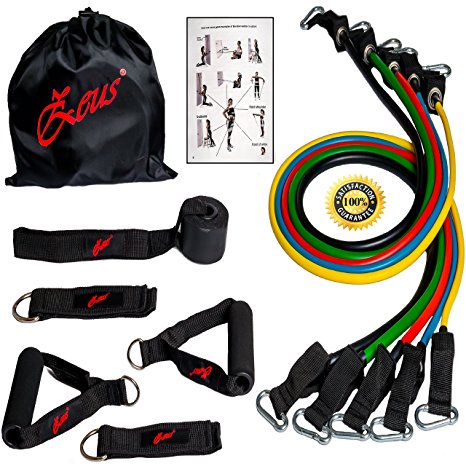 Zeus Gym Exercise Resistance Bands Set Kit for Woman & Men - Home Gym Exercise Training Different Tension Levels 5 Tube Set with Handles, Door Anchor, Ankle Straps and Carry Bag , Ideal for Home Fitness / Travel Fitness / Strength