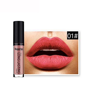 Tenworld 1 PC Waterproof Matte Liquid Lipstick Long Lasting Lip Gloss Lipstick (A)