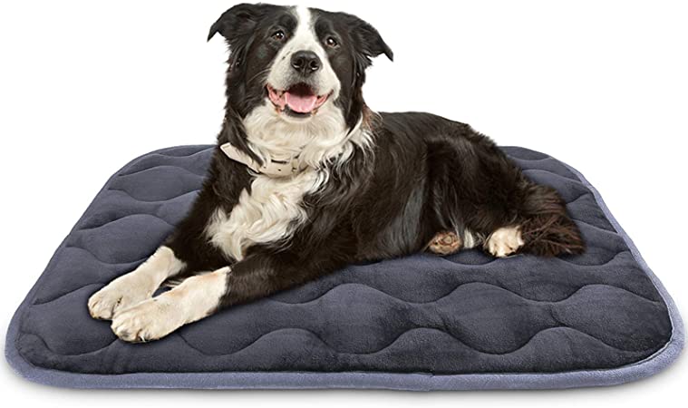 AIPERRO Dog Bed Crate Pad Soft Plush Kennel Cushion Mat Machine Washable Anti-Slip Pet Bed for Small Medium Large Dogs and Cats Sleeping, 35 x 23 Inch